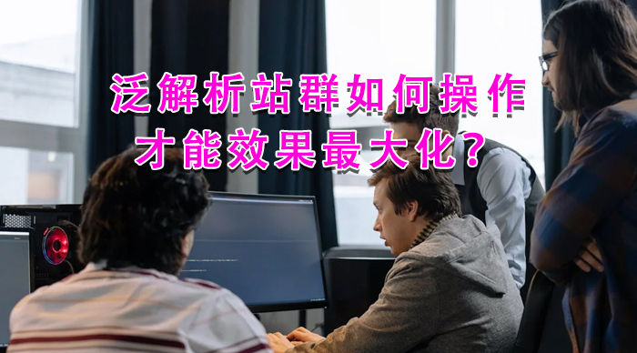 泛解析站群如何操作才能效果最大化？