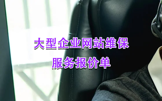 大型企業(yè)網(wǎng)站維保服務(wù)報價單