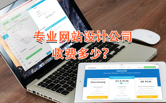 專業(yè)網(wǎng)站設(shè)計(jì)公司收費(fèi)多少？